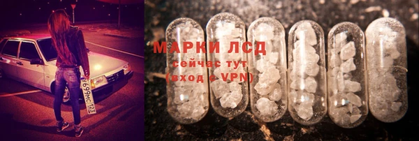 хмурый Алзамай