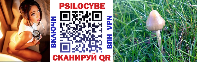 Псилоцибиновые грибы прущие грибы Алексеевка